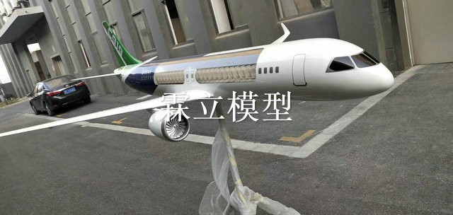 3米剖面C919飛機模型